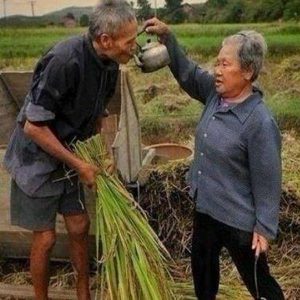 quy tắc 3 không tăng cường sức khỏe